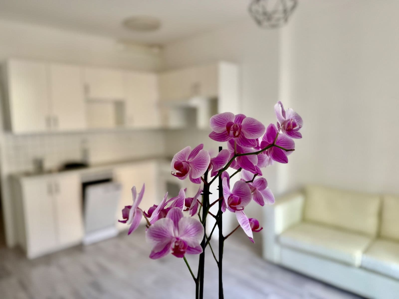 Prenájom bytu 2-izbový 38 m², Žerotínova, Praha, Praha Prenájom bytu 2-izbový 38 m², Žerotínova, Praha, Praha