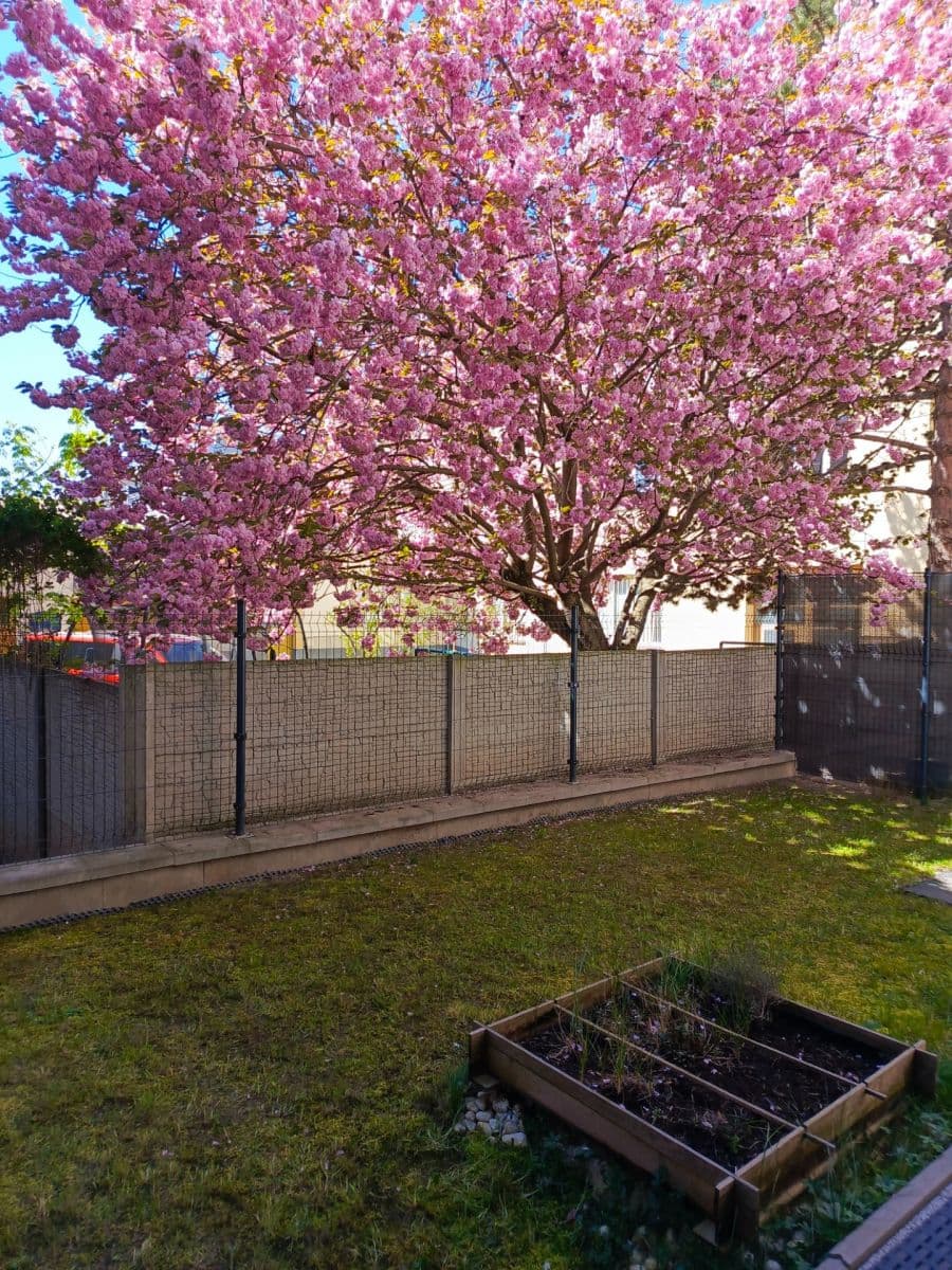 Prenájom bytu 1-izbový 32 m², Třebohostická, Praha, Praha Prenájom bytu 1-izbový 32 m², Třebohostická, Praha, Praha