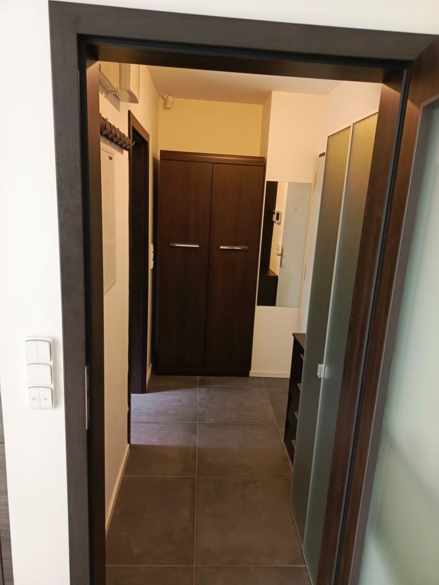 Prenájom bytu 1-izbový 32 m², Třebohostická, Praha, Praha Prenájom bytu 1-izbový 32 m², Třebohostická, Praha, Praha