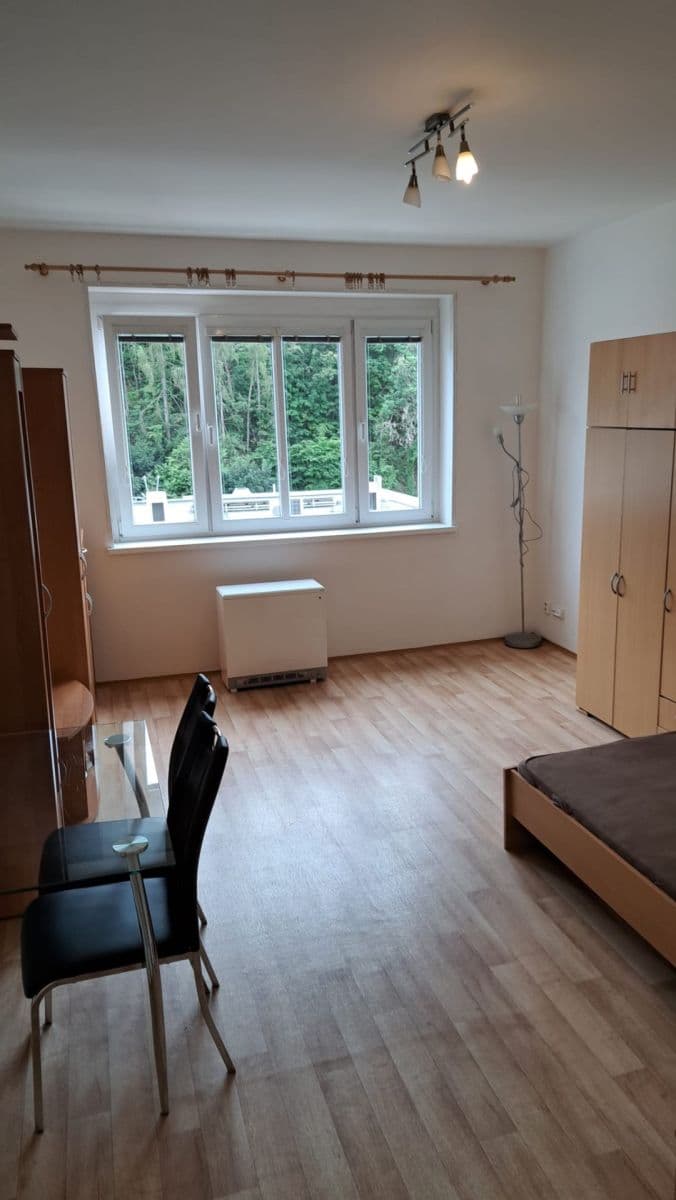 Prenájom bytu 1-izbový 30 m², Vrchlického, Praha, Praha Prenájom bytu 1-izbový 30 m², Vrchlického, Praha, Praha