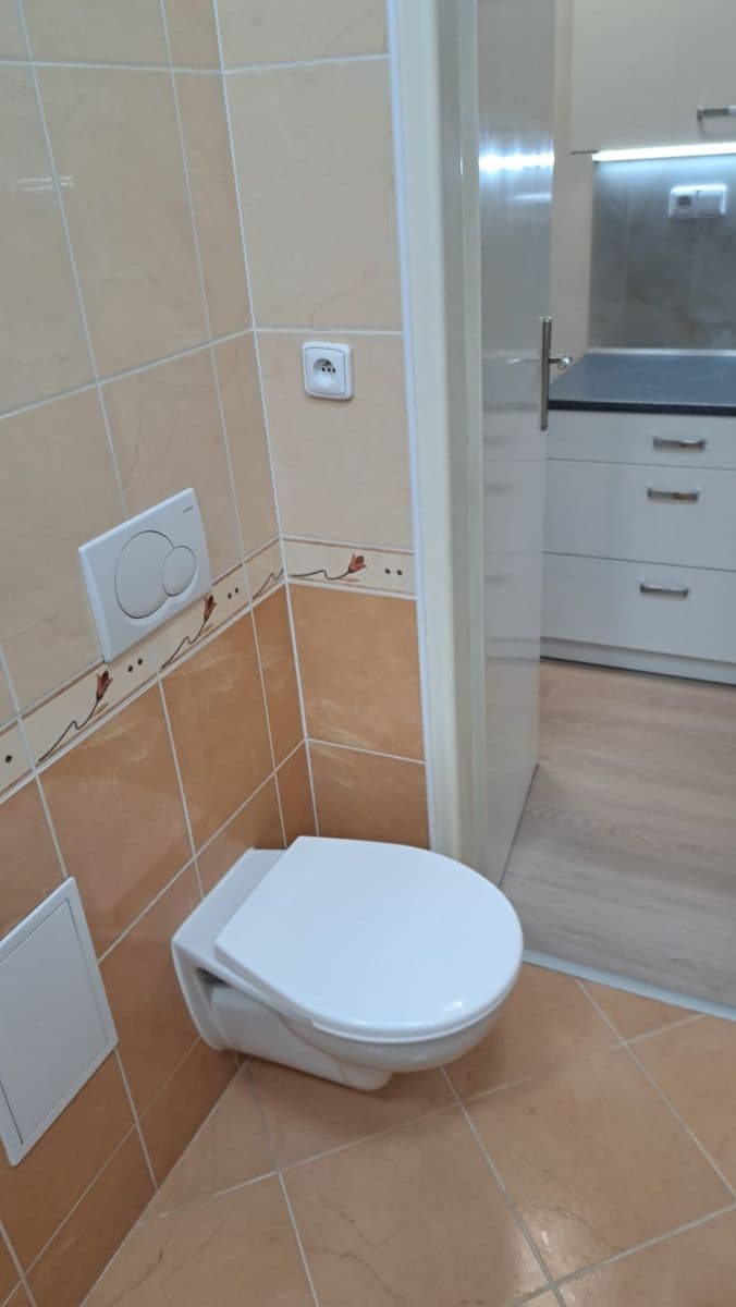 Prenájom bytu 1-izbový 30 m², Vrchlického, Praha, Praha Prenájom bytu 1-izbový 30 m², Vrchlického, Praha, Praha