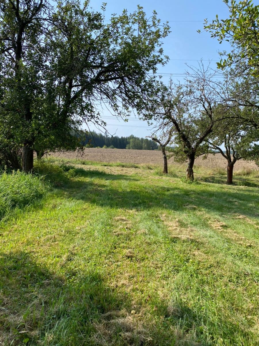 Predaj pozemku 3.359 m², Petrovice, Středočeský kraj Predaj pozemku 3.359 m², Petrovice, Středočeský kraj