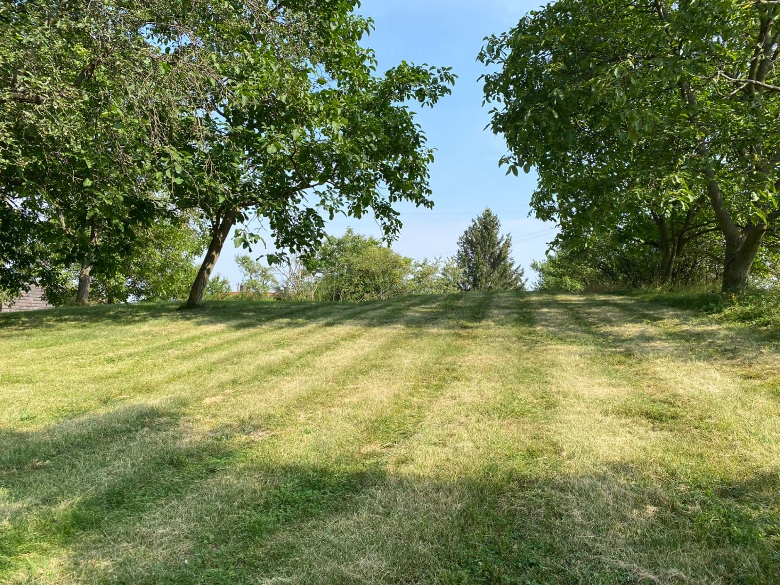 Predaj pozemku 3.359 m², Petrovice, Středočeský kraj Predaj pozemku 3.359 m², Petrovice, Středočeský kraj
