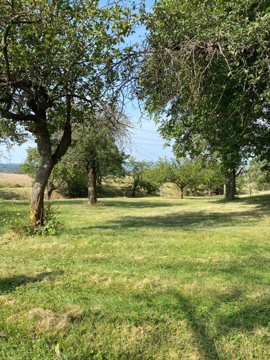 Predaj pozemku 3.359 m², Petrovice, Středočeský kraj Predaj pozemku 3.359 m², Petrovice, Středočeský kraj
