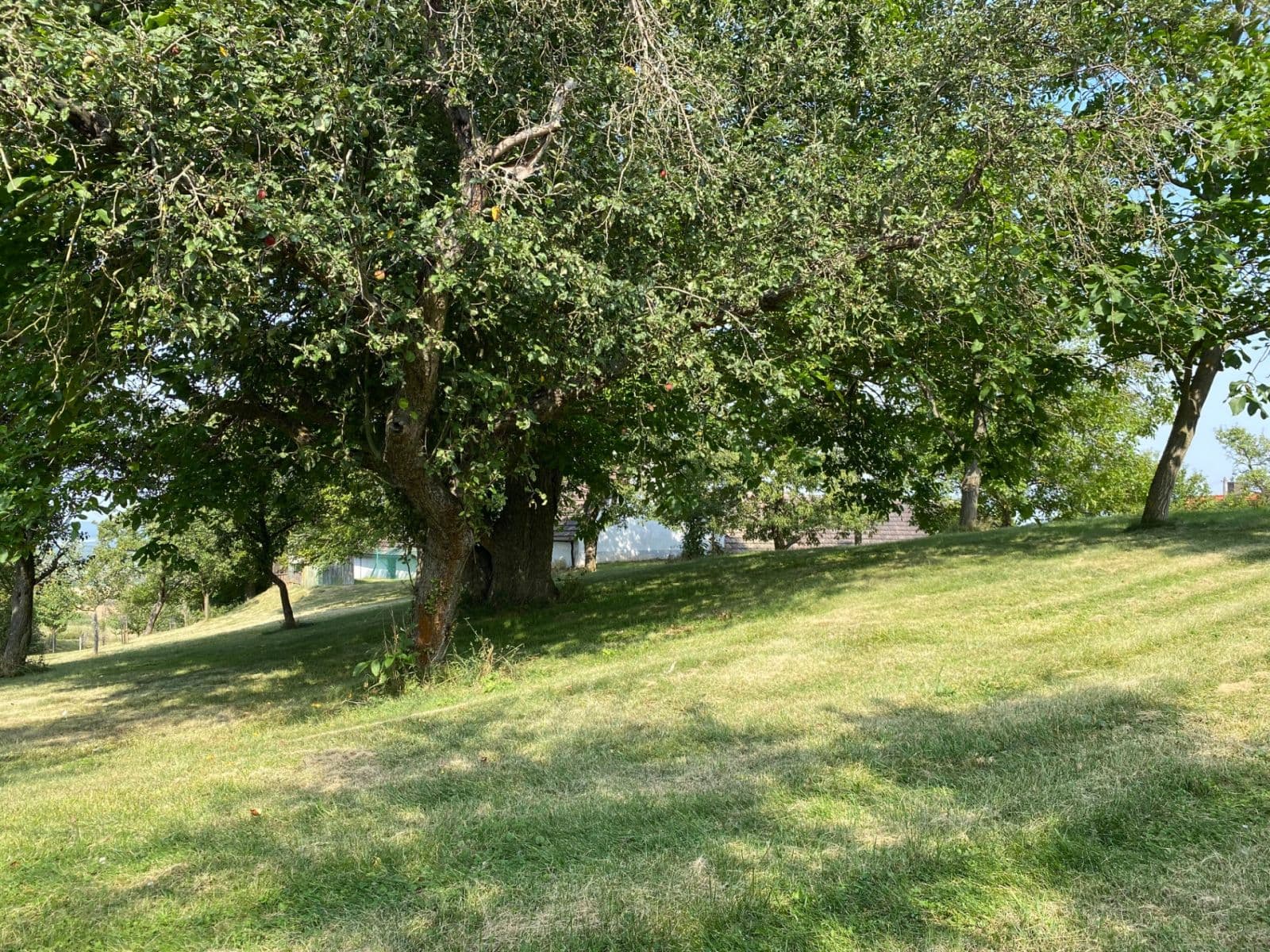 Predaj pozemku 3.359 m², Petrovice, Středočeský kraj Predaj pozemku 3.359 m², Petrovice, Středočeský kraj