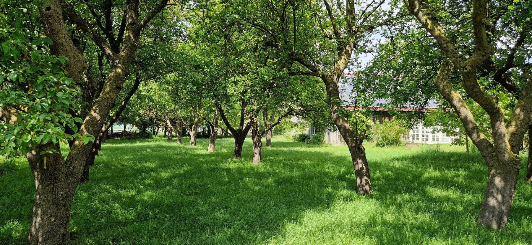 Predaj domu 215 m², pozemok 1.500 m², Dassow, Meklenbursko-Predpomoransko Predaj domu 215 m², pozemok 1.500 m², Dassow, Meklenbursko-Predpomoransko