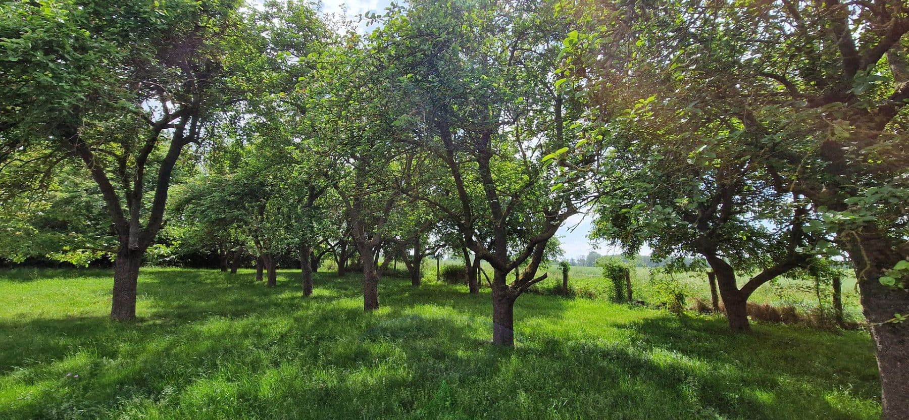 Predaj domu 215 m², pozemok 1.500 m², Dassow, Meklenbursko-Predpomoransko Predaj domu 215 m², pozemok 1.500 m², Dassow, Meklenbursko-Predpomoransko