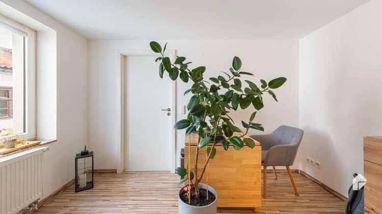 Prenájom bytu 4-izbový 127 m², Bad Belzig, Brandenbursko Prenájom bytu 4-izbový 127 m², Bad Belzig, Brandenbursko