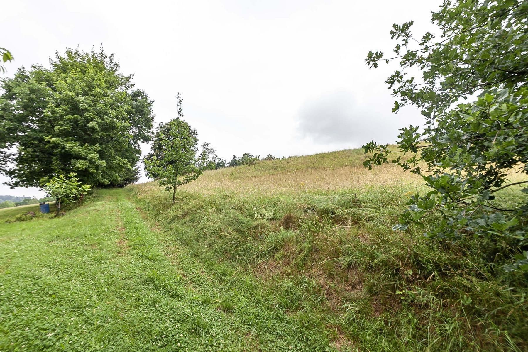 Predaj pozemku 4.517 m², Slaná, Liberecký kraj Predaj pozemku 4.517 m², Slaná, Liberecký kraj