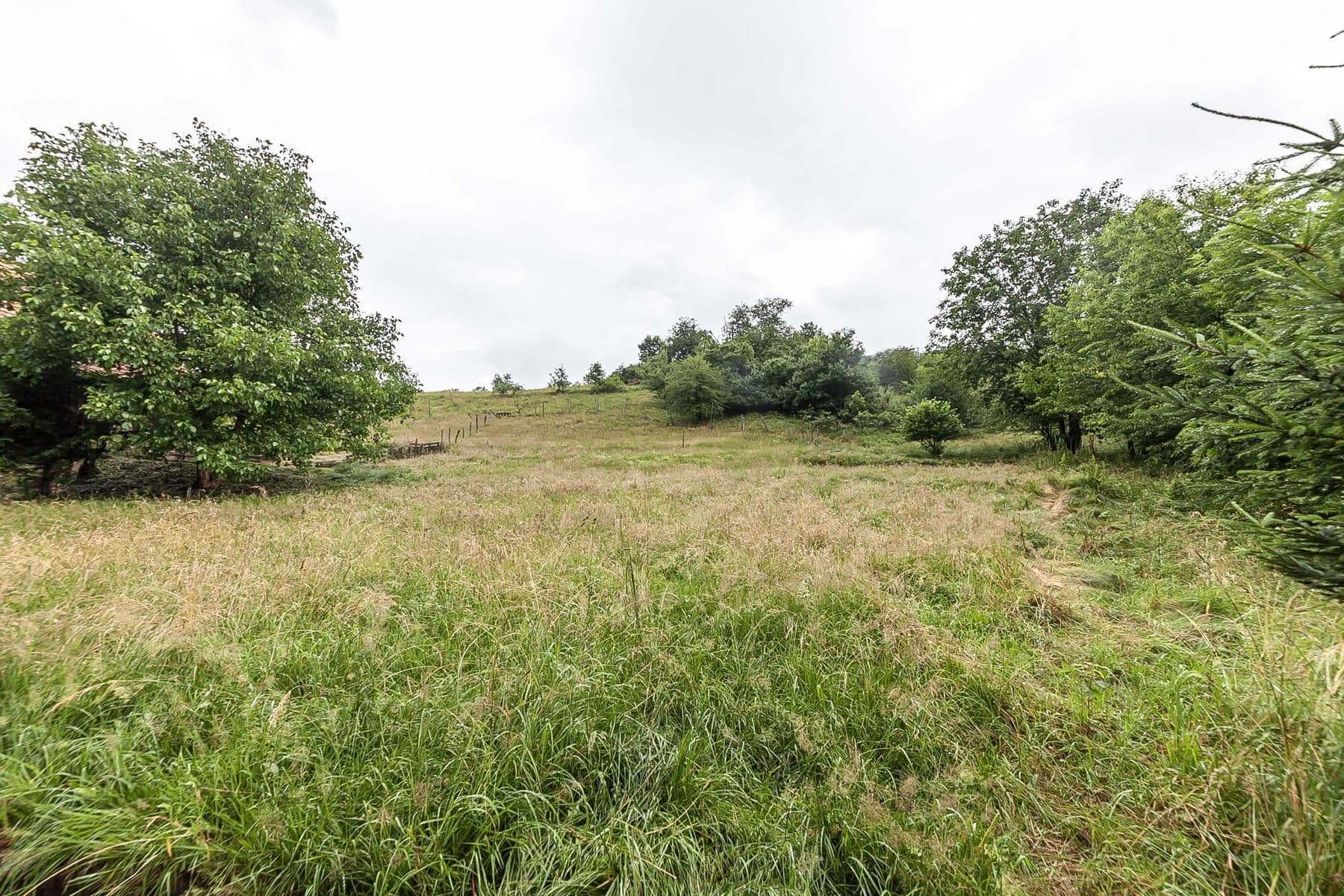 Predaj pozemku 4.517 m², Slaná, Liberecký kraj Predaj pozemku 4.517 m², Slaná, Liberecký kraj