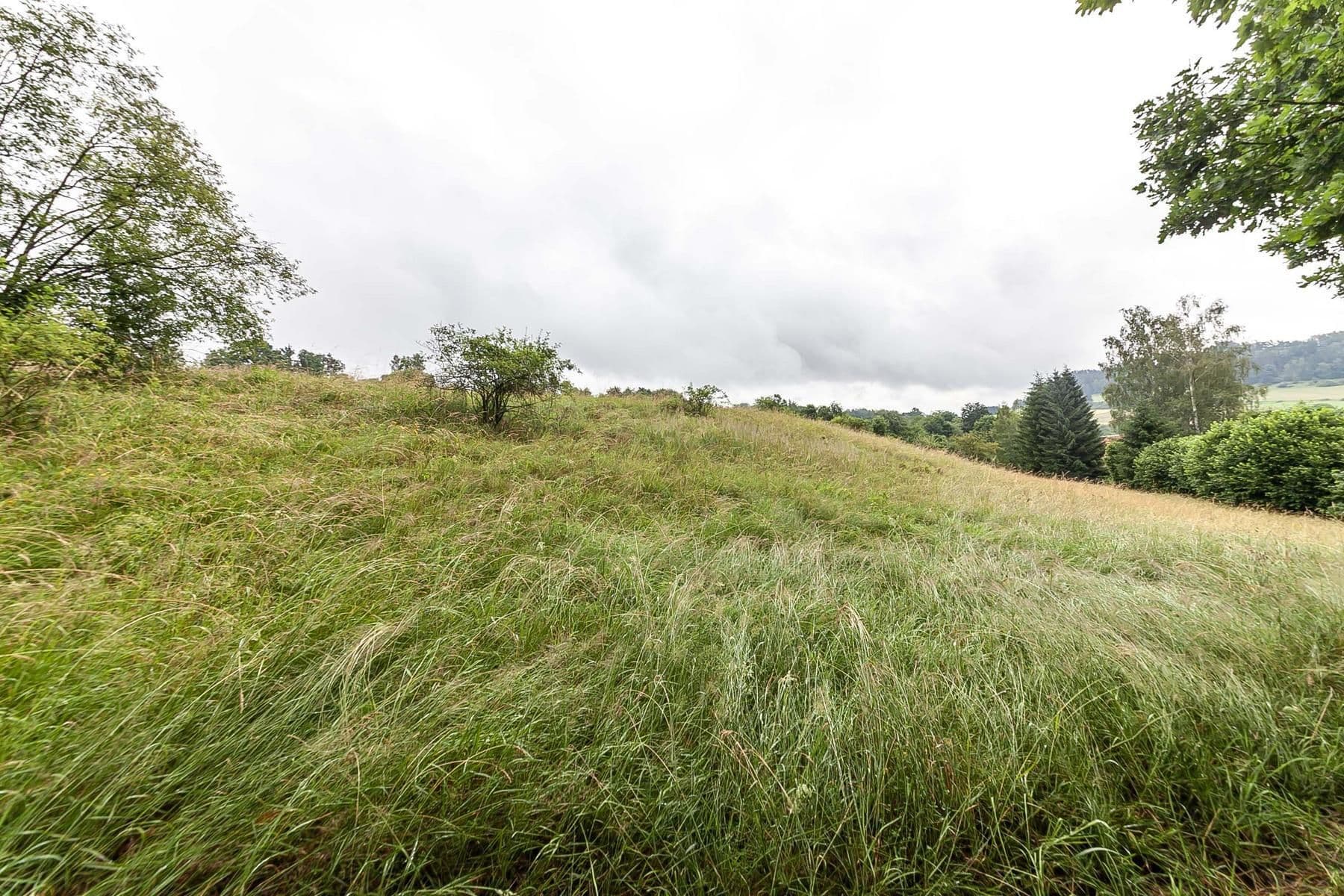 Predaj pozemku 4.517 m², Slaná, Liberecký kraj Predaj pozemku 4.517 m², Slaná, Liberecký kraj