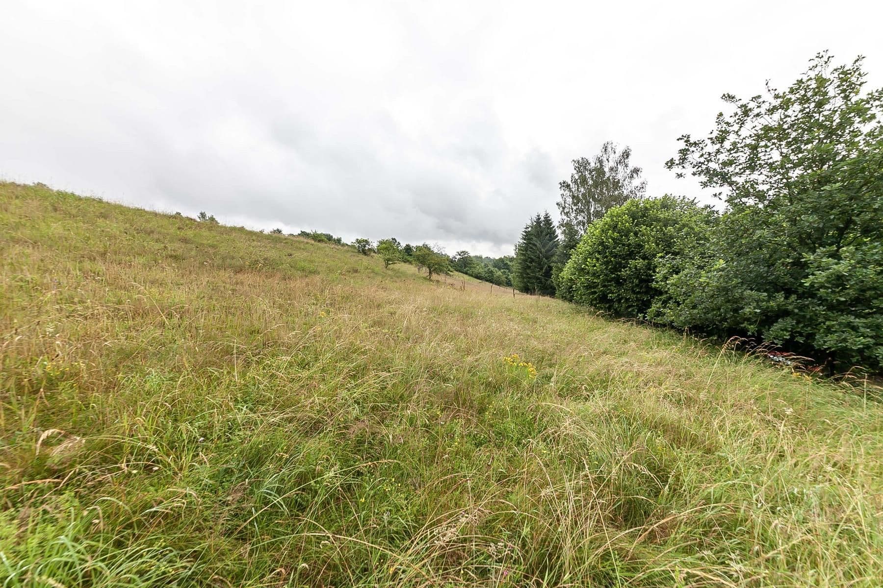 Predaj pozemku 4.517 m², Slaná, Liberecký kraj Predaj pozemku 4.517 m², Slaná, Liberecký kraj