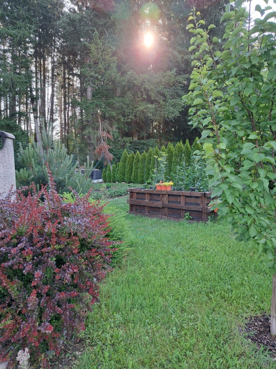 Predaj pozemku 768 m², Krásná Hora nad Vltavou, Středočeský kraj Predaj pozemku 768 m², Krásná Hora nad Vltavou, Středočeský kraj