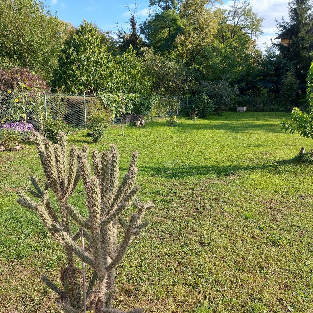 Predaj domu 118 m², pozemok 1.009 m², Číž, Banskobystrický kraj Predaj domu 118 m², pozemok 1.009 m², Číž, Banskobystrický kraj