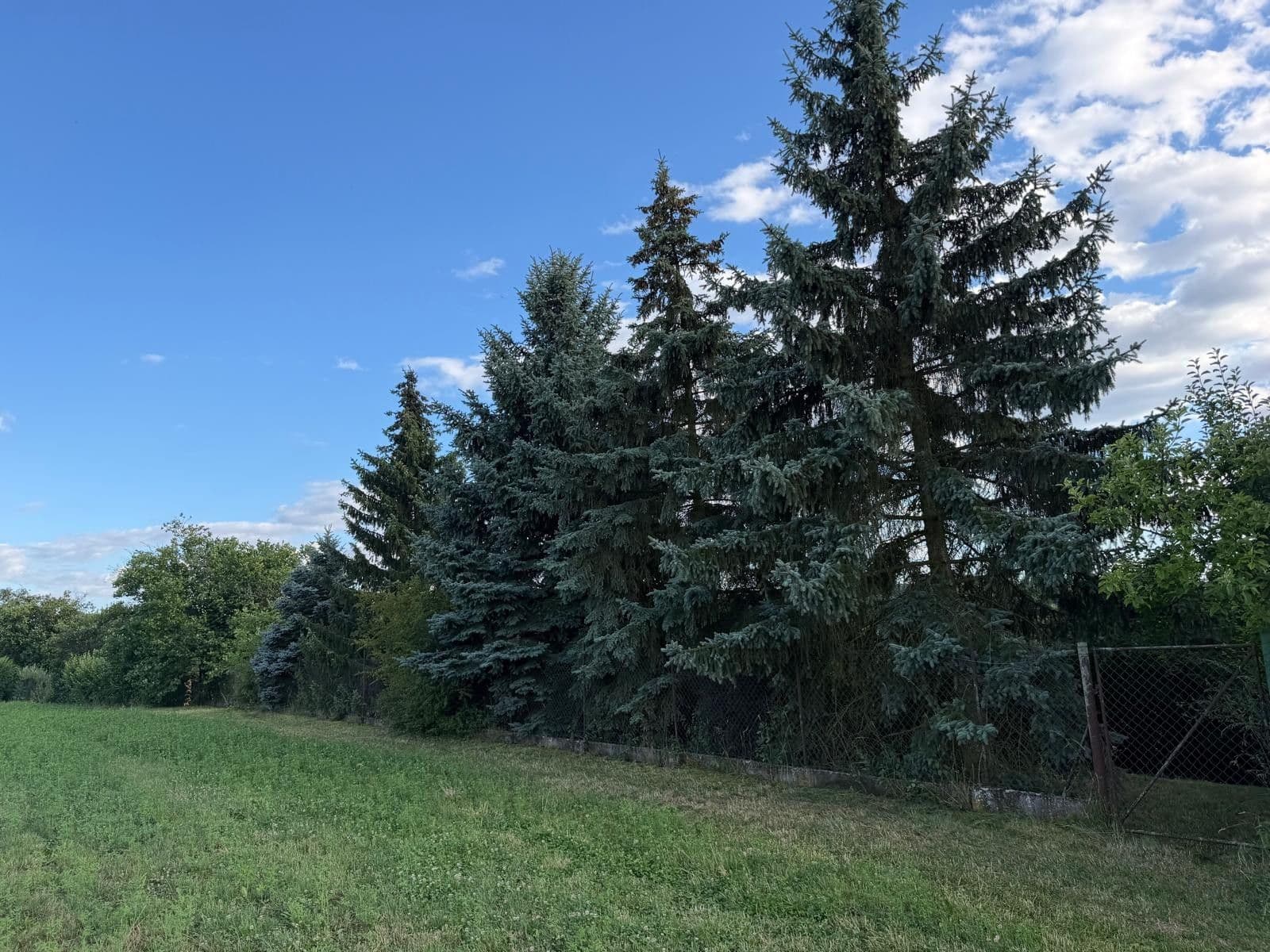 Predaj rekreačného objektu 800 m², pozemok 799 m², 298, Dobruška, Královéhradecký kraj Predaj rekreačného objektu 800 m², pozemok 799 m², 298, Dobruška, Královéhradecký kraj