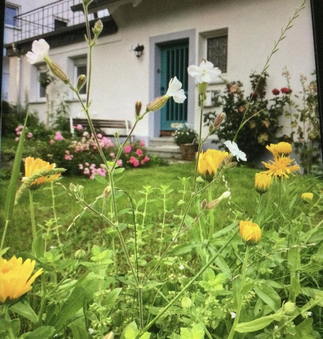 Prenájom domu 120 m², pozemok 202 m², Nümbrecht, Severné Porýnie - Westfálsko Prenájom domu 120 m², pozemok 202 m², Nümbrecht, Severné Porýnie - Westfálsko