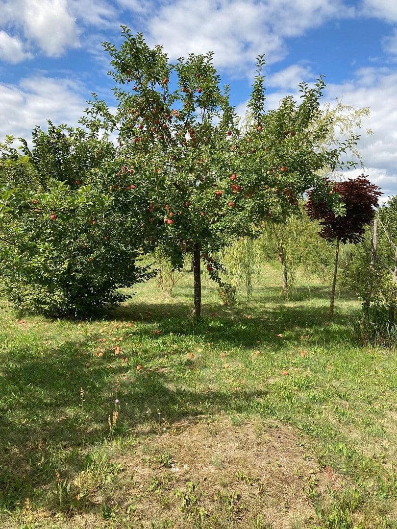 Predaj pozemku 3.362 m², Schünower Weg, Am Mellensee, Brandenbursko Predaj pozemku 3.362 m², Schünower Weg, Am Mellensee, Brandenbursko