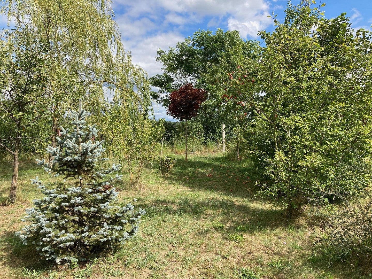 Predaj pozemku 3.362 m², Schünower Weg, Am Mellensee, Brandenbursko Predaj pozemku 3.362 m², Schünower Weg, Am Mellensee, Brandenbursko