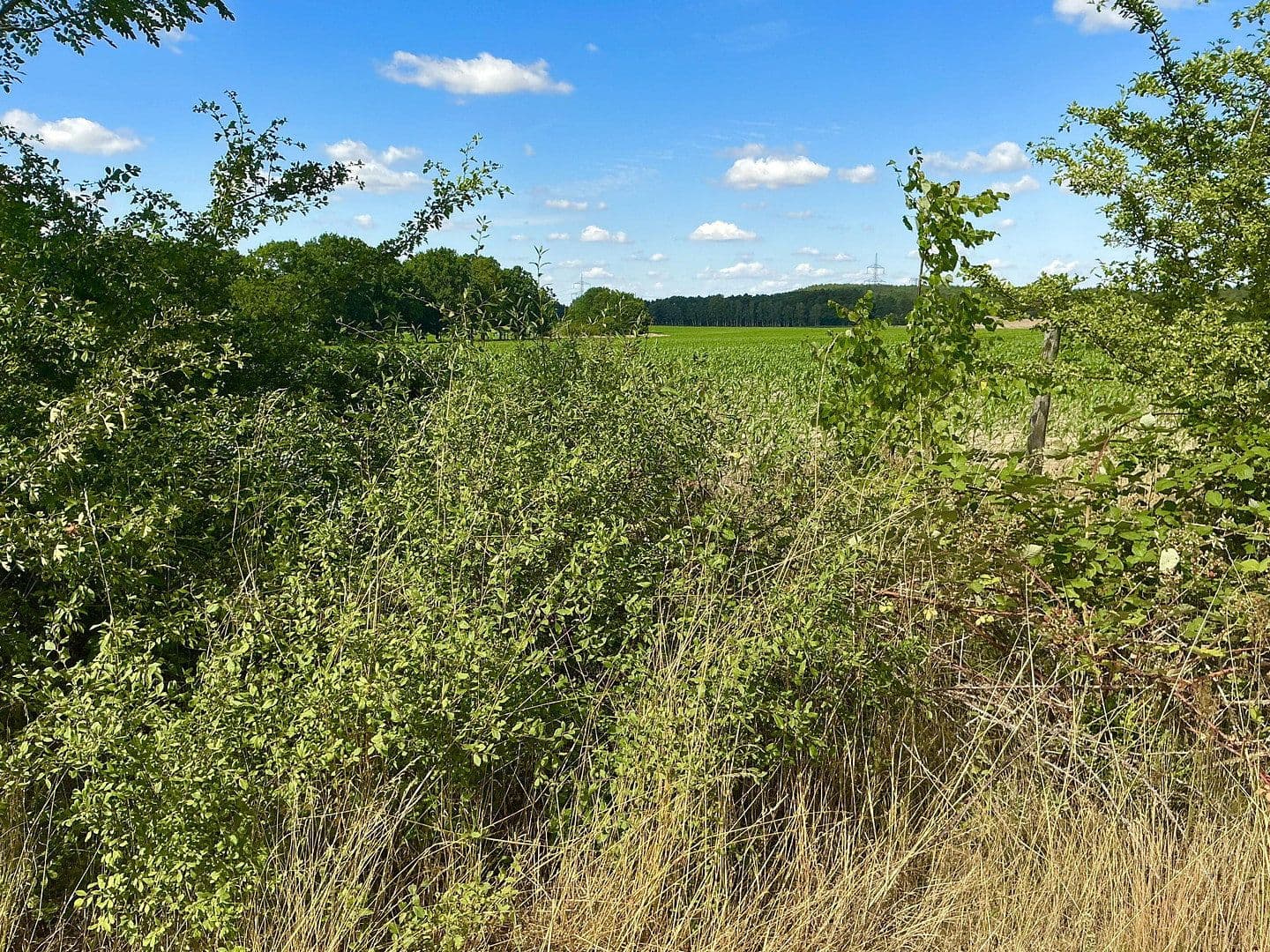 Predaj pozemku 3.362 m², Schünower Weg, Am Mellensee, Brandenbursko Predaj pozemku 3.362 m², Schünower Weg, Am Mellensee, Brandenbursko