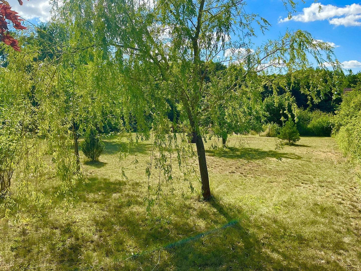 Predaj pozemku 3.362 m², Schünower Weg, Am Mellensee, Brandenbursko Predaj pozemku 3.362 m², Schünower Weg, Am Mellensee, Brandenbursko