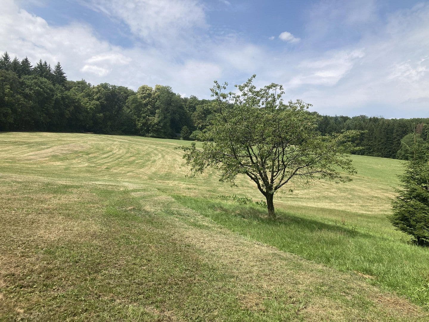 Predaj pozemku 7.230 m², Göppingen, Bádensko-Wurttembersko Predaj pozemku 7.230 m², Göppingen, Bádensko-Wurttembersko