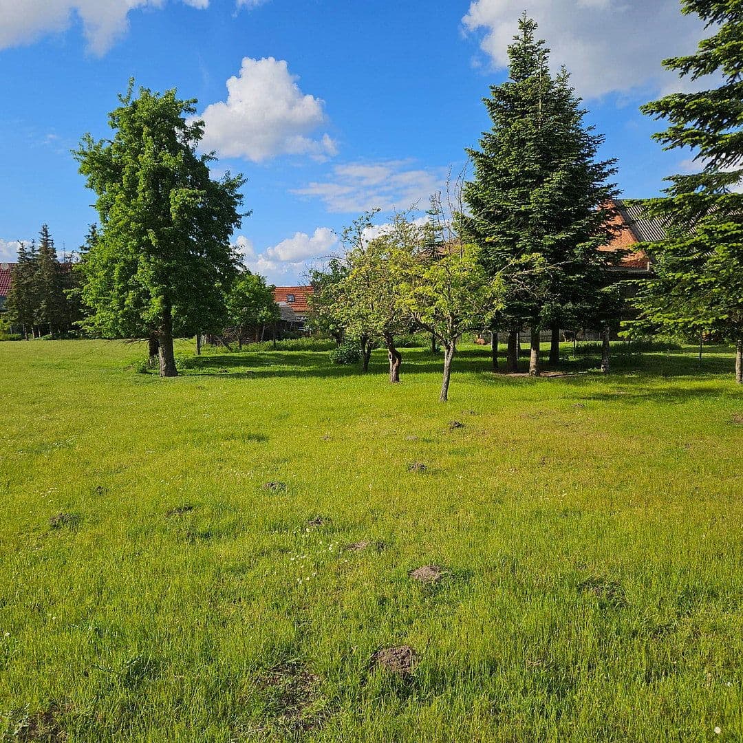 Predaj domu 150 m², pozemok 5.000 m², Neuenklitsche 15, Jerichow, Sasko-Anhaltsko Predaj domu 150 m², pozemok 5.000 m², Neuenklitsche 15, Jerichow, Sasko-Anhaltsko