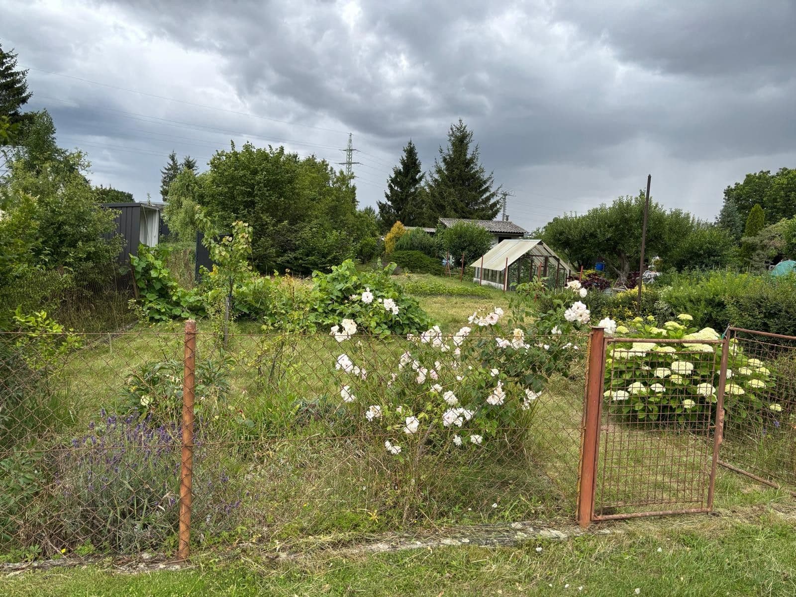 Prenájom pozemku 401 m², Poděbrady, Středočeský kraj Prenájom pozemku 401 m², Poděbrady, Středočeský kraj
