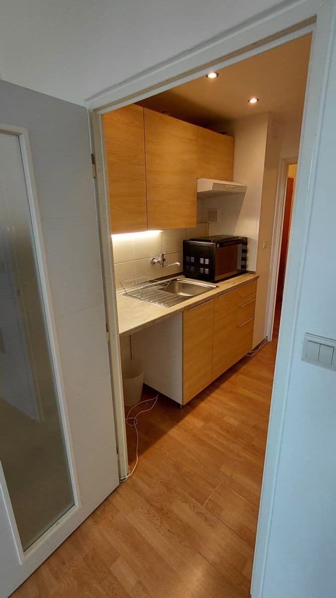 Prenájom bytu 1-izbový 30 m², Novoměstská, Brno, Jihomoravský kraj Prenájom bytu 1-izbový 30 m², Novoměstská, Brno, Jihomoravský kraj