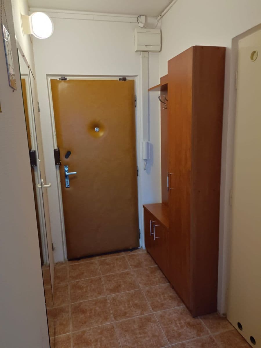 Prenájom bytu 1-izbový 34 m², Novoměstská, Brno, Jihomoravský kraj Prenájom bytu 1-izbový 34 m², Novoměstská, Brno, Jihomoravský kraj