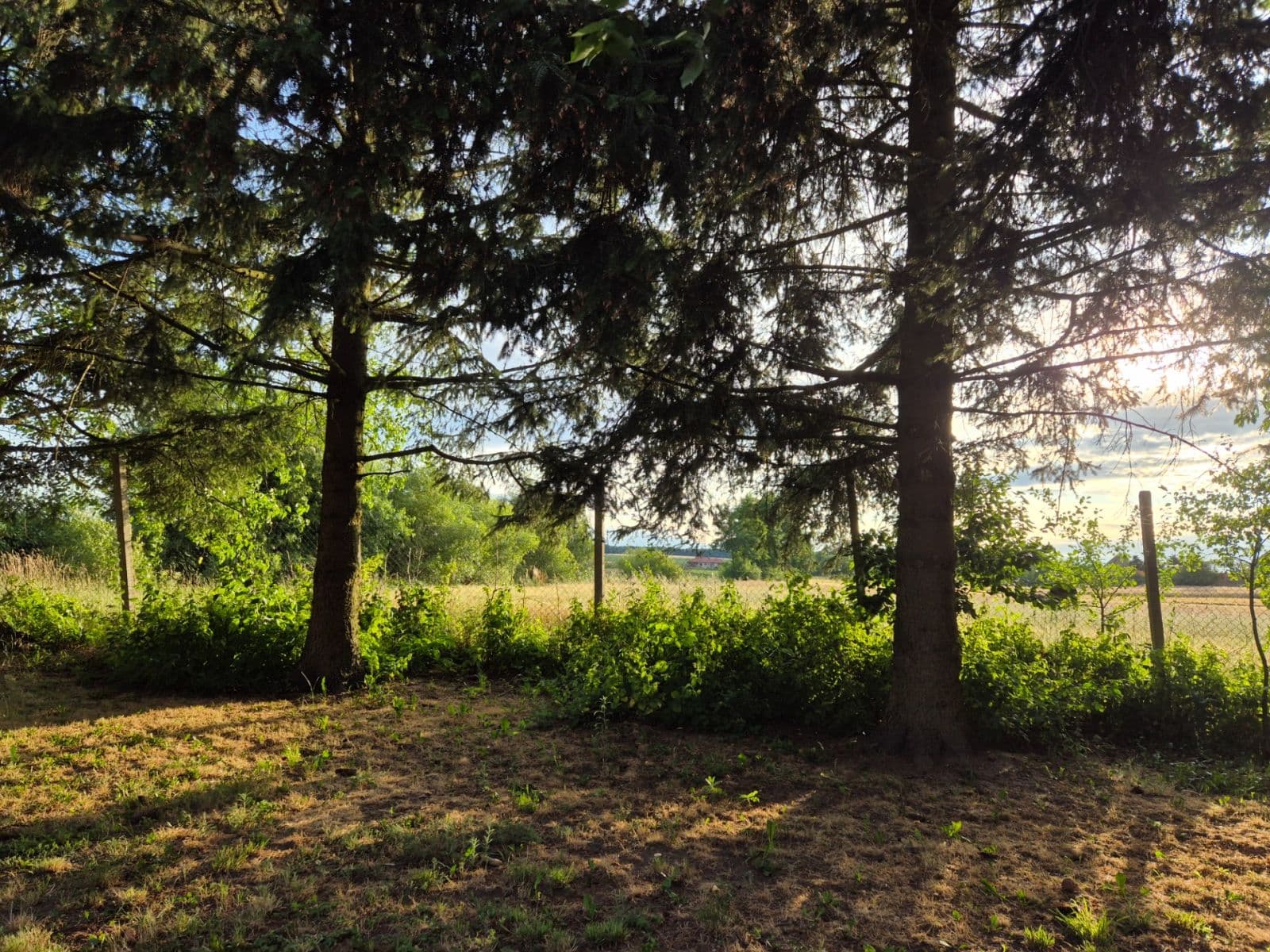 Predaj domu 186 m², pozemok 1.309 m², Štítary, Jihomoravský kraj Predaj domu 186 m², pozemok 1.309 m², Štítary, Jihomoravský kraj