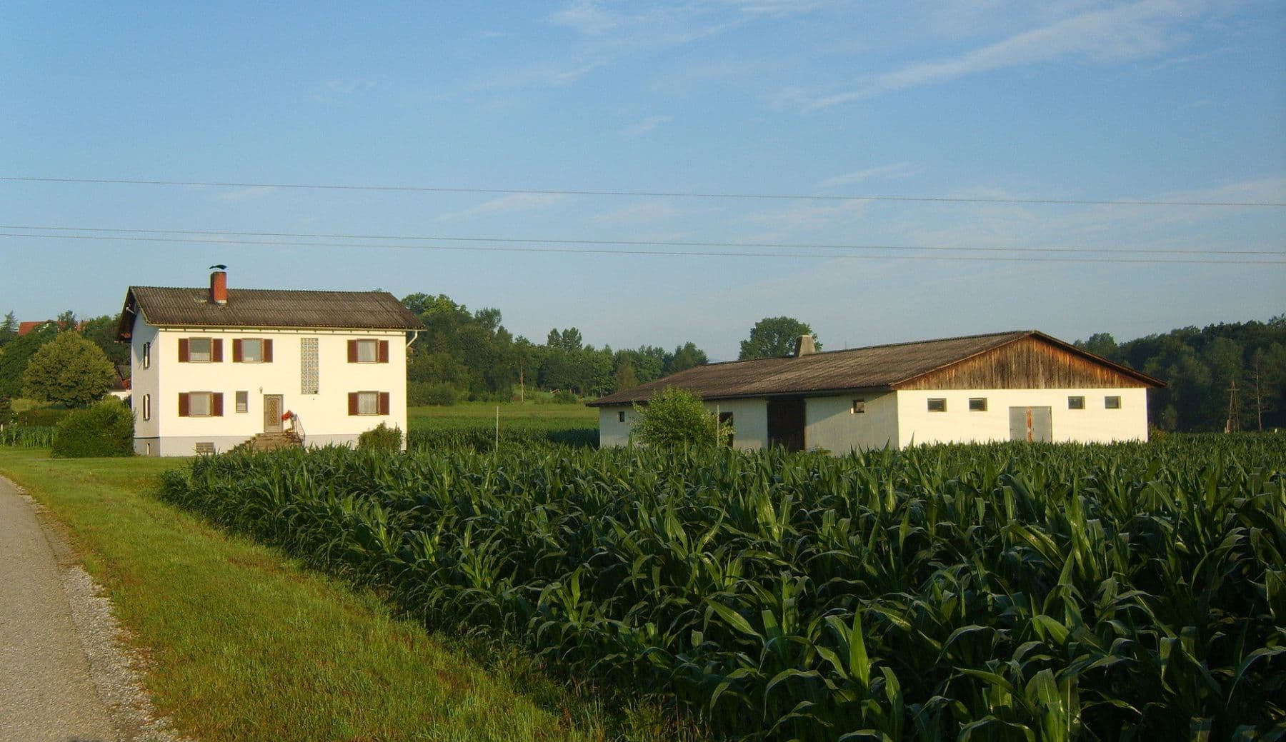 Predaj pozemku 61.000 m², Wettmannstätten, Štajersko Predaj pozemku 61.000 m², Wettmannstätten, Štajersko