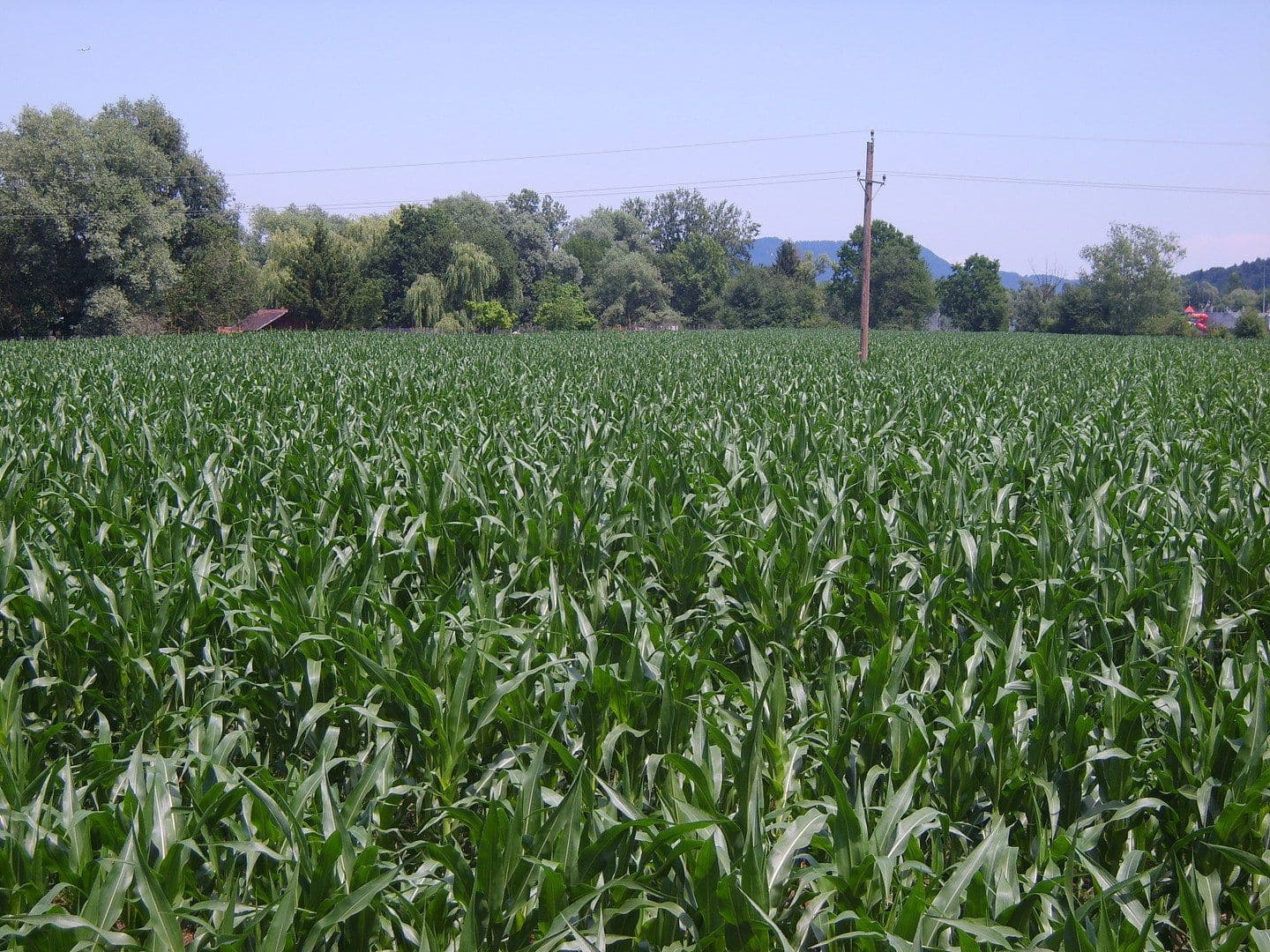Predaj pozemku 61.000 m², Wettmannstätten, Štajersko Predaj pozemku 61.000 m², Wettmannstätten, Štajersko