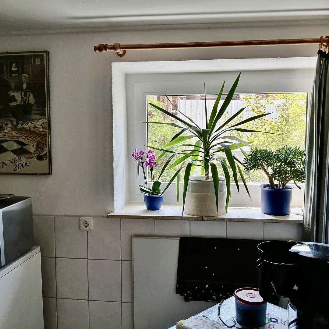 Predaj domu 63 m², pozemok 67 m², Vilshofen an der Donau, Bavorsko Predaj domu 63 m², pozemok 67 m², Vilshofen an der Donau, Bavorsko