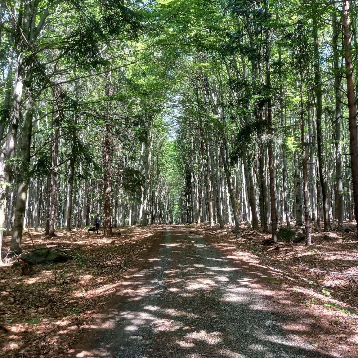 Prenájom rekreačného objektu, Oudoleň, Kraj Vysočina Prenájom rekreačného objektu, Oudoleň, Kraj Vysočina