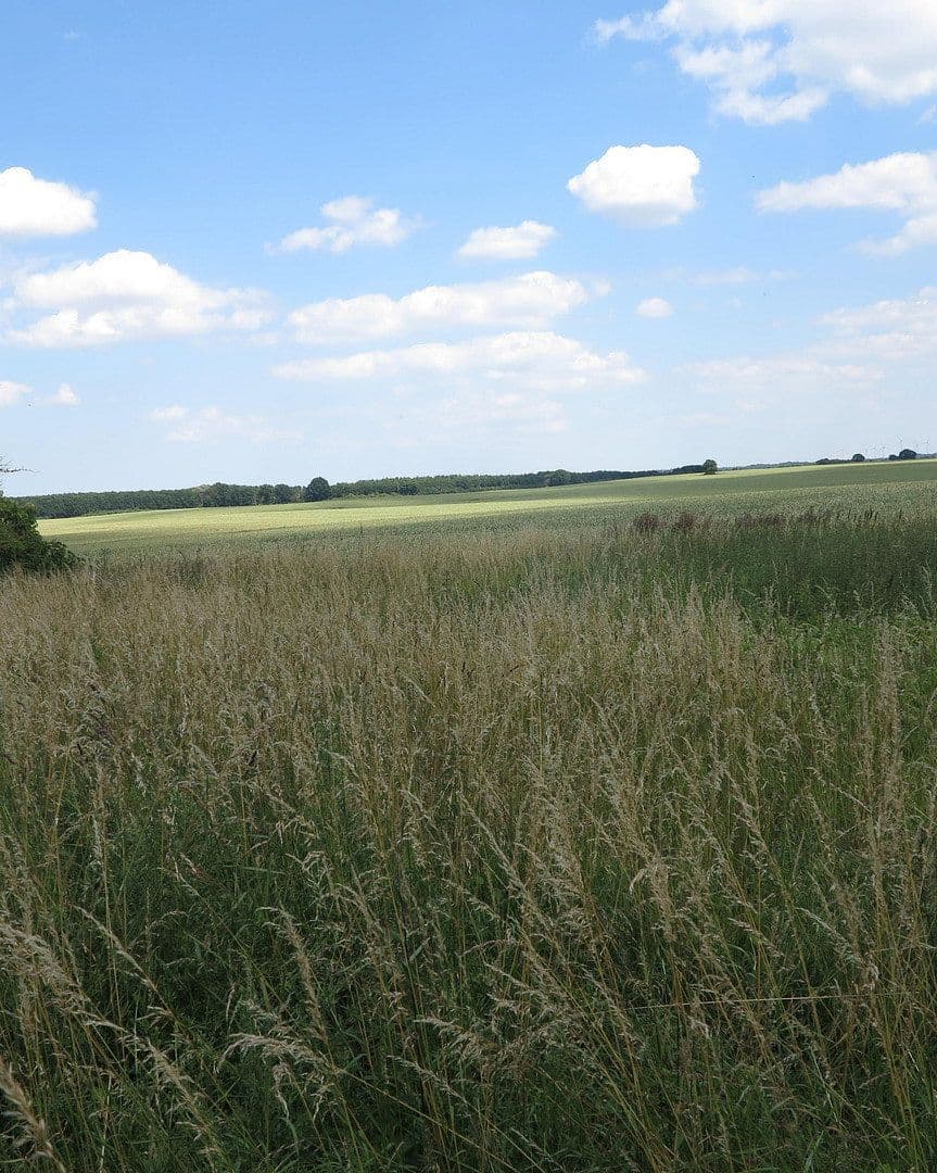 Predaj domu 1.200 m², pozemok 7.000 m², Ivenack, Meklenbursko-Predpomoransko Predaj domu 1.200 m², pozemok 7.000 m², Ivenack, Meklenbursko-Predpomoransko