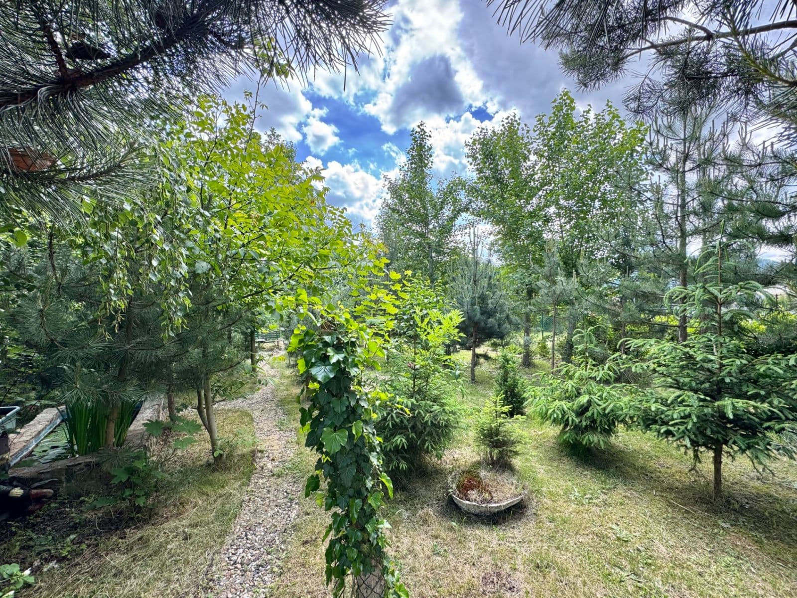 Predaj domu 110 m², pozemok 3.996 m², Karlovarská, Perštejn, Ústecký kraj Predaj domu 110 m², pozemok 3.996 m², Karlovarská, Perštejn, Ústecký kraj