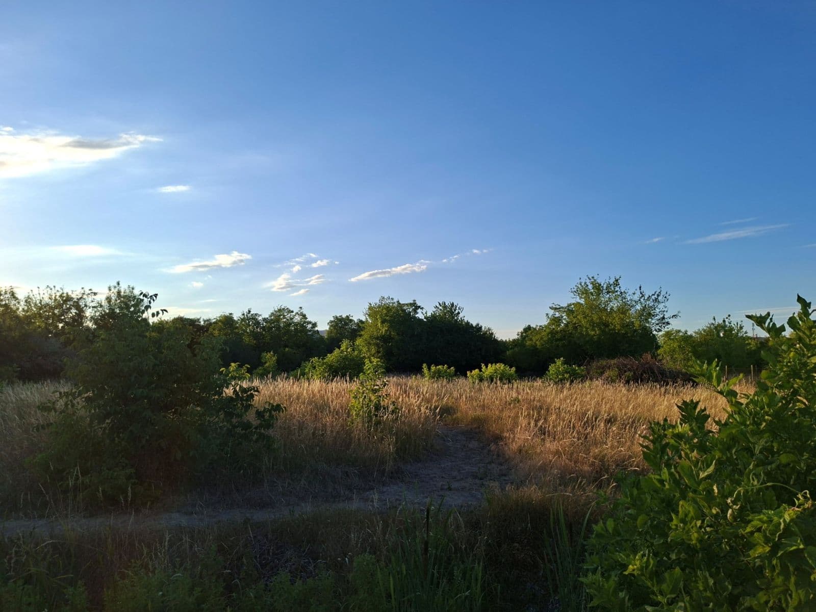 Predaj pozemku 963 m², Vajnory, Bratislavský kraj Predaj pozemku 963 m², Vajnory, Bratislavský kraj