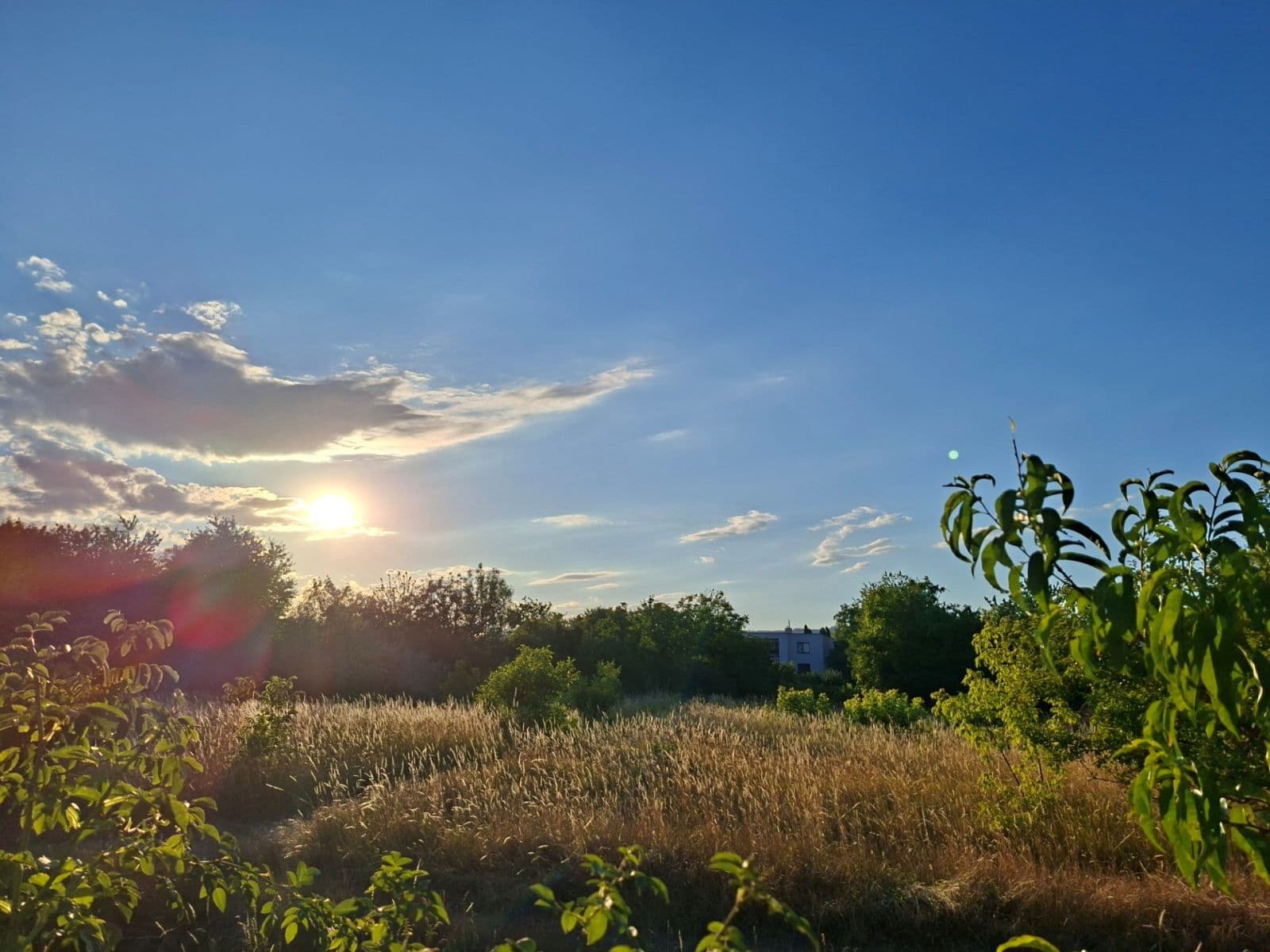 Predaj pozemku 963 m², Vajnory, Bratislavský kraj Predaj pozemku 963 m², Vajnory, Bratislavský kraj