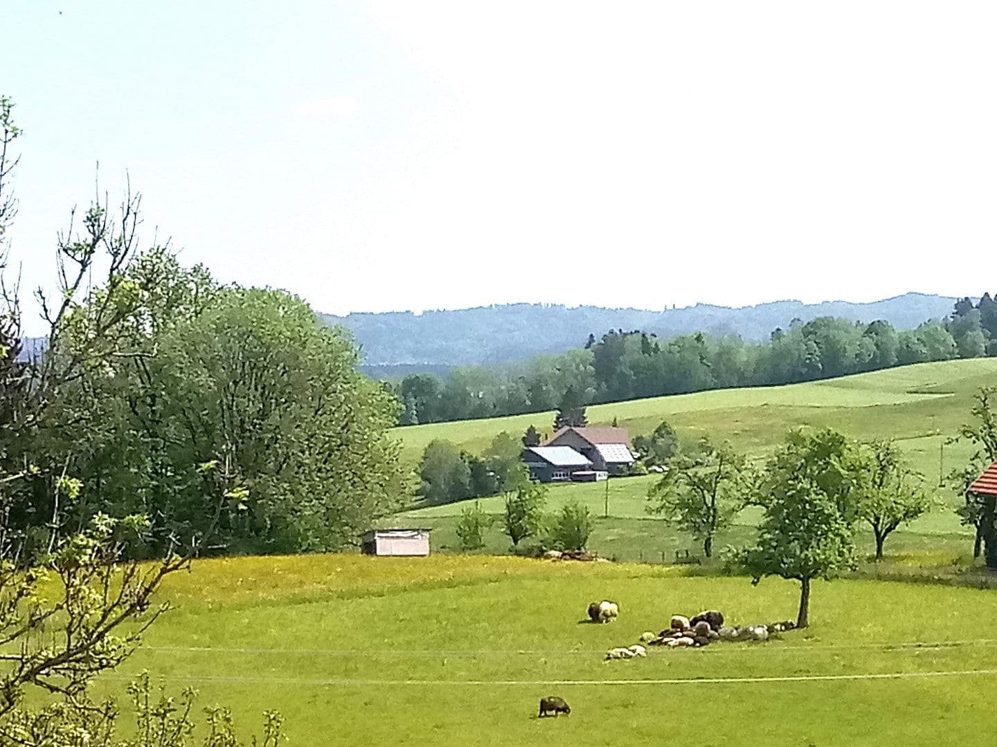 Predaj bytu 3-izbový 124 m², Gestratz, Bavorsko Predaj bytu 3-izbový 124 m², Gestratz, Bavorsko