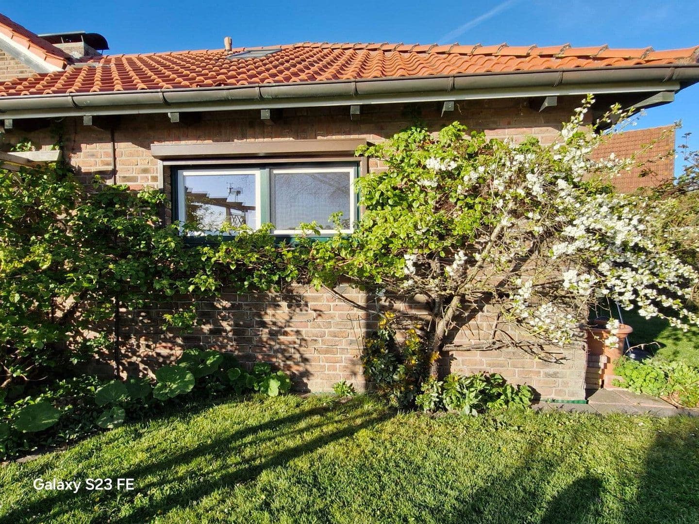 Predaj domu 190 m², pozemok 905 m², Weberkamp 6, Grube, Šlezvicko-Holštajnsko Predaj domu 190 m², pozemok 905 m², Weberkamp 6, Grube, Šlezvicko-Holštajnsko