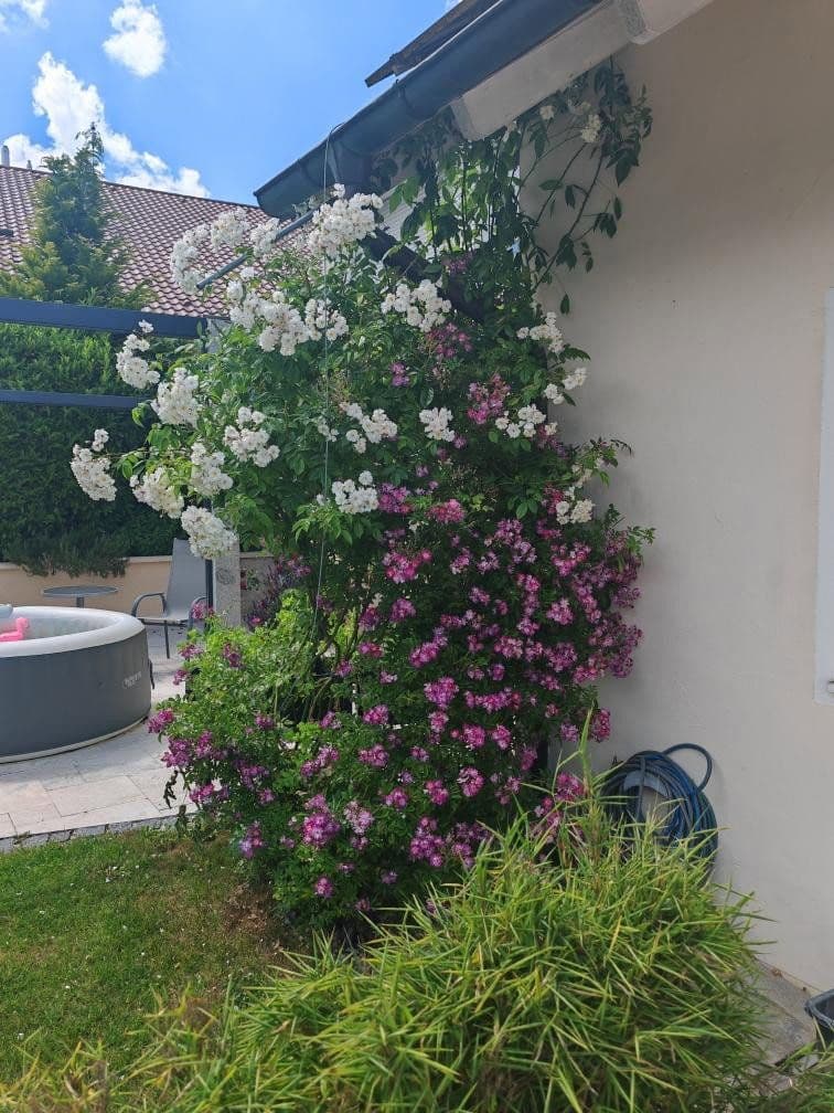 Predaj domu 276 m², pozemok 629 m², Am Weinberg 20, Niederviehbach, Bavorsko Predaj domu 276 m², pozemok 629 m², Am Weinberg 20, Niederviehbach, Bavorsko