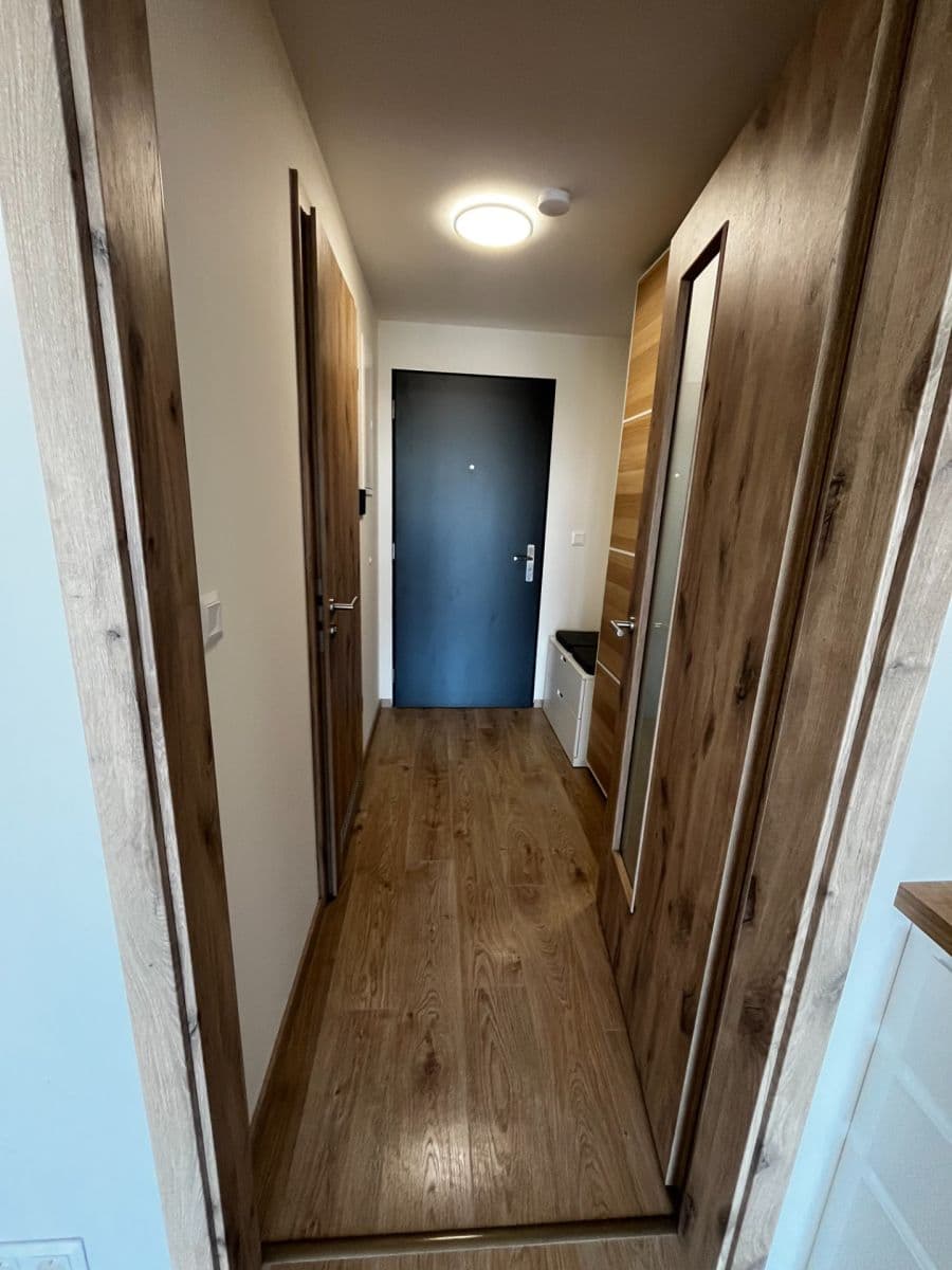 Prenájom bytu 1-izbový 32 m², Jáchymovská, Praha, Praha Prenájom bytu 1-izbový 32 m², Jáchymovská, Praha, Praha