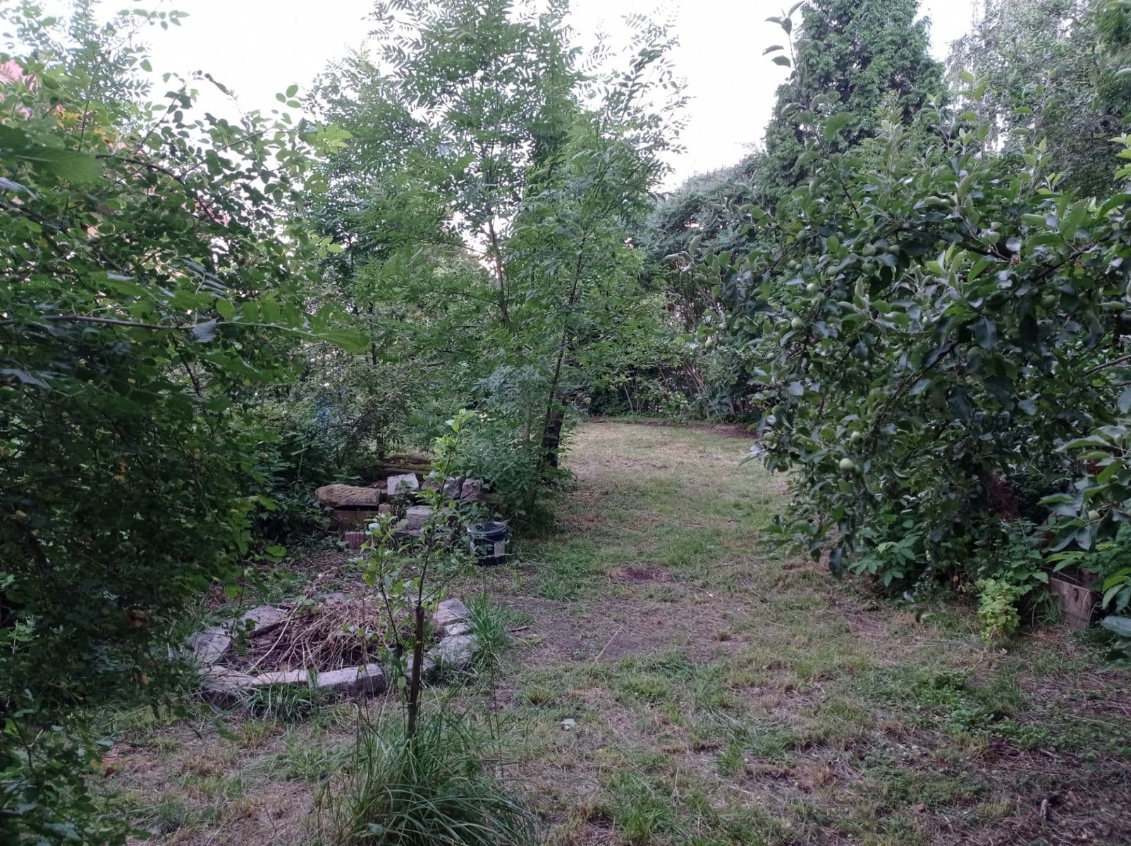 Predaj rekreačného objektu 44 m², pozemok 558 m², Kaněrova, Kostelec nad Orlicí, Královéhradecký kraj Predaj rekreačného objektu 44 m², pozemok 558 m², Kaněrova, Kostelec nad Orlicí, Královéhradecký kraj