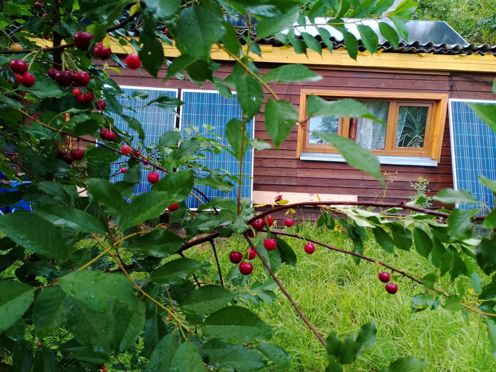 Predaj rekreačného objektu 44 m², pozemok 558 m², Kaněrova, Kostelec nad Orlicí, Královéhradecký kraj Predaj rekreačného objektu 44 m², pozemok 558 m², Kaněrova, Kostelec nad Orlicí, Královéhradecký kraj