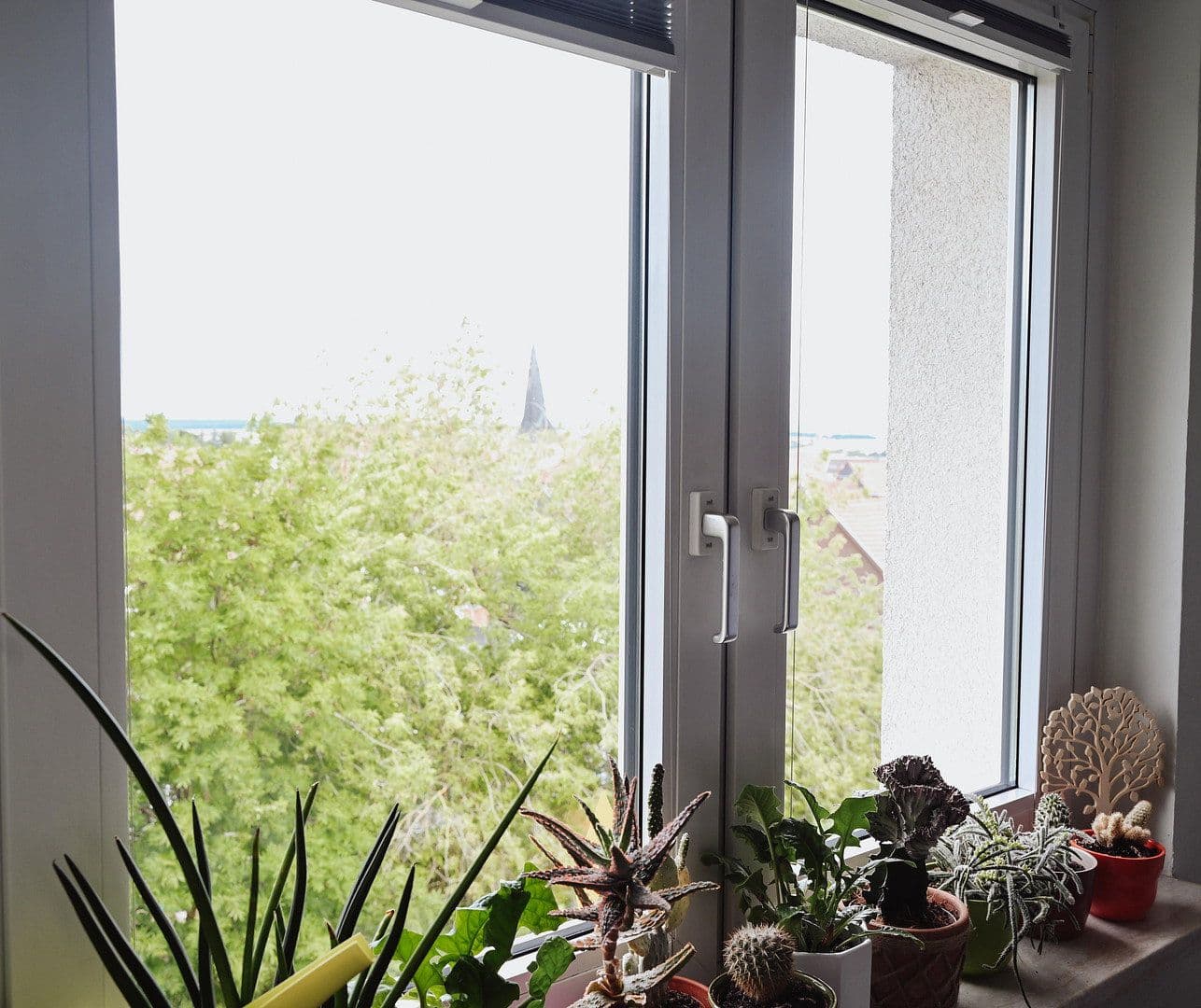 Predaj bytu 1-izbový 57 m², Bleicherode, Durínsko Predaj bytu 1-izbový 57 m², Bleicherode, Durínsko