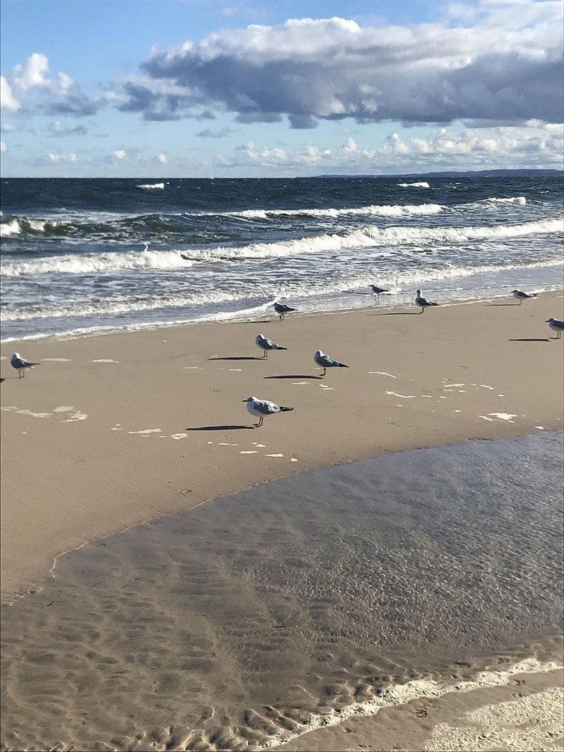 Predaj bytu 2-izbový 46 m², Stolpe auf Usedom, Meklenbursko-Predpomoransko Predaj bytu 2-izbový 46 m², Stolpe auf Usedom, Meklenbursko-Predpomoransko