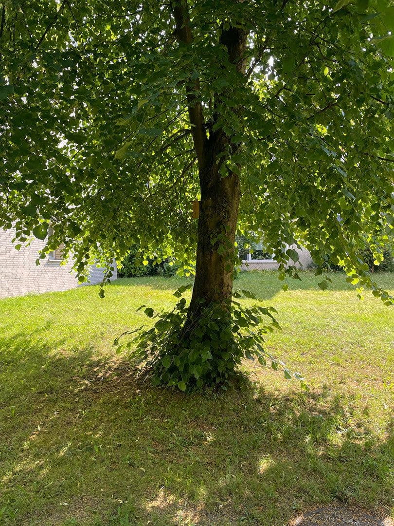 Predaj bytu 4-izbový 102 m², Laurembergstieg 7, Hamburg, Hamburg Predaj bytu 4-izbový 102 m², Laurembergstieg 7, Hamburg, Hamburg