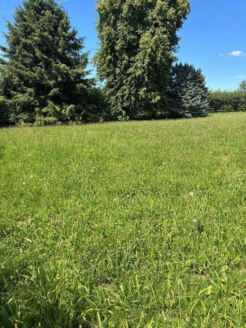 Predaj pozemku 1.276 m², Renchen, Bádensko-Wurttembersko Predaj pozemku 1.276 m², Renchen, Bádensko-Wurttembersko