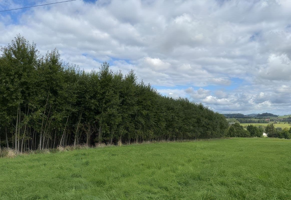 Predaj pozemku 108.179 m², Česká Kamenice, Ústecký kraj Predaj pozemku 108.179 m², Česká Kamenice, Ústecký kraj