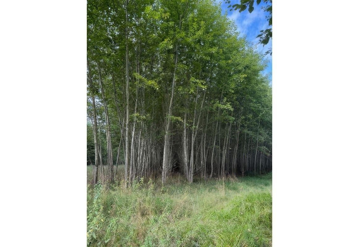 Predaj pozemku 108.179 m², Česká Kamenice, Ústecký kraj Predaj pozemku 108.179 m², Česká Kamenice, Ústecký kraj